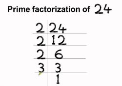 prime factorization of 24
